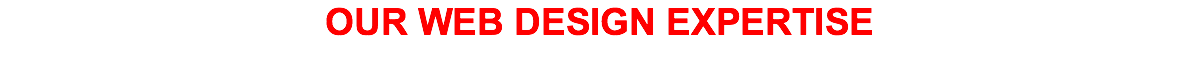 OUR WEB DESIGN EXPERTISE